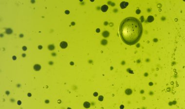 parçacık arka plan