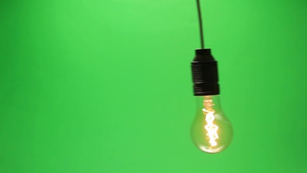 Transparent light bulb swing in loop — Stock Video