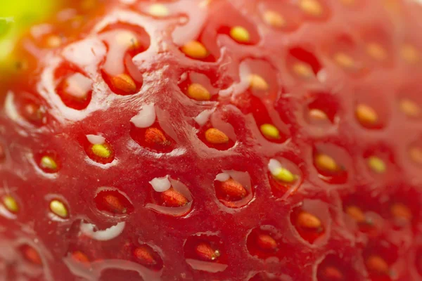 Makro Bio-Erdbeere — Stockfoto
