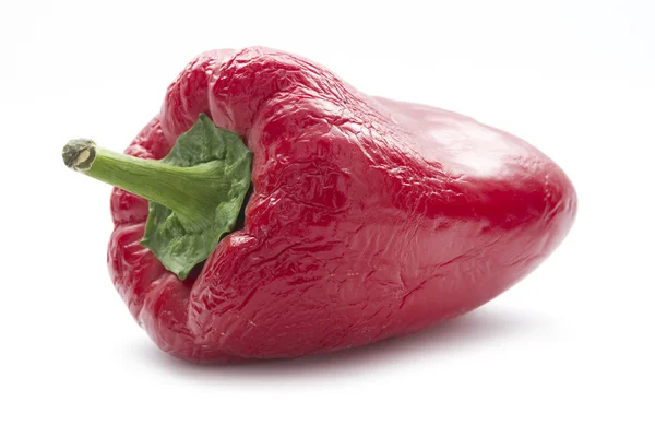 Rode verwelkt paprika — Stockfoto