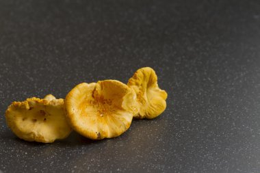 Chanterelle.