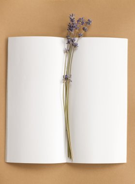 Not defteri çiçeği ile