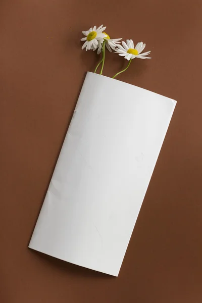 notepad with camomile