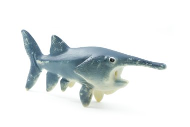 Kauçuk oyuncak balık