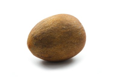 avocado seed