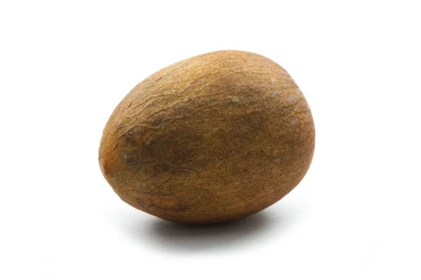 Avocado seed — Stock Photo, Image