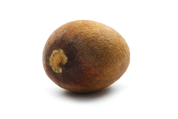 Авокадо насіння — стокове фото