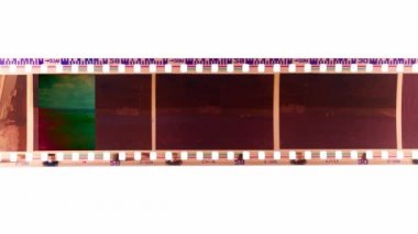 fotoğraf film geliştirici