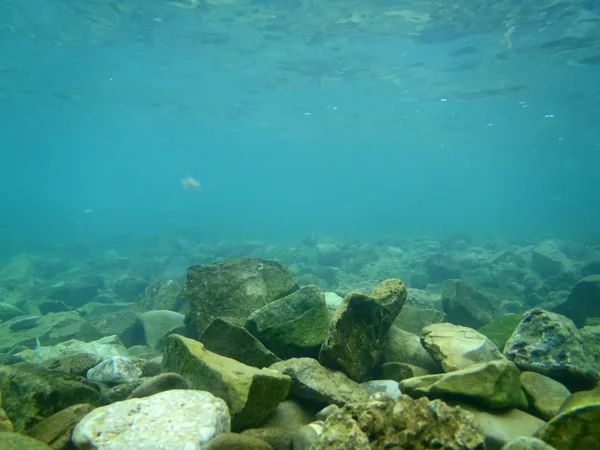 Snorkel en Adriático — Foto de Stock