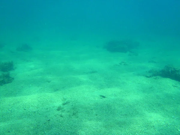 浮潜在亚得里亚海 — 图库照片