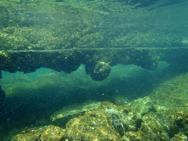 Snorkeling in Adriatic — Stock Photo, Image