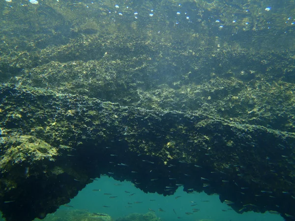 Snorkeling nel mare Adriatico — Stockfoto