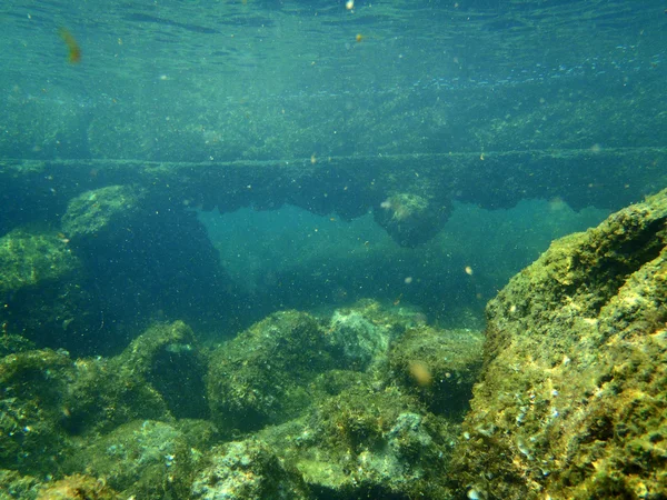 Nurkowanie w Adriatyku — Zdjęcie stockowe