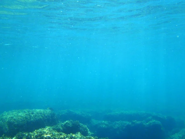 Snorkeling in Adriatic — Stock Photo, Image