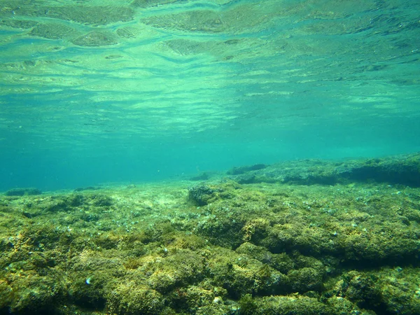 Snorkel en Adriático — Foto de Stock