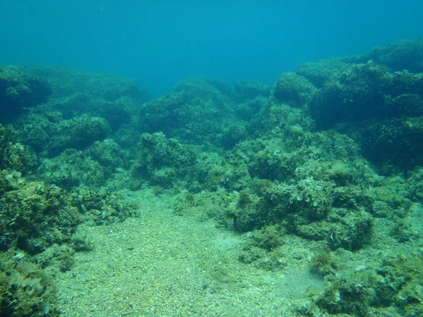 Snorkeling in Adriatic — Stock Photo, Image