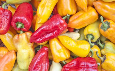 çok renkli pul biber