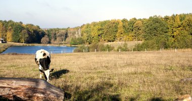 kırsal kesimde sonbahar sabahı