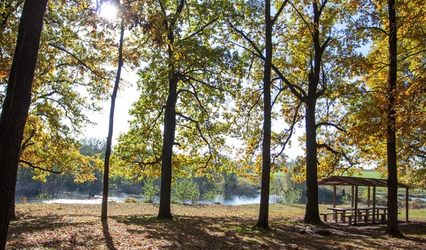 Осенний пейзаж над озером — стоковое фото