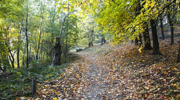 Krajobraz - jesień parku — Zdjęcie stockowe