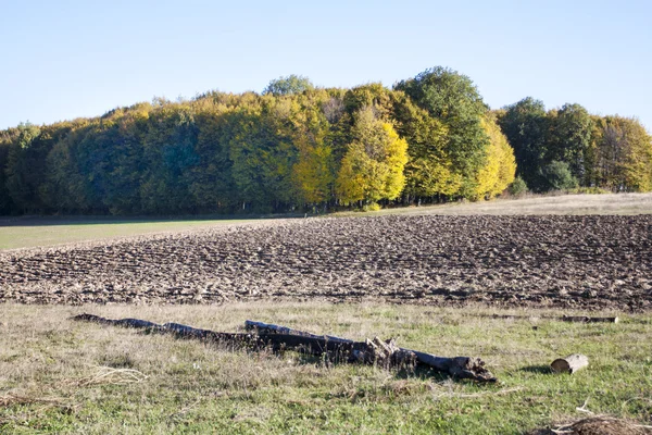 Farmer fields are processed — Stock Photo, Image