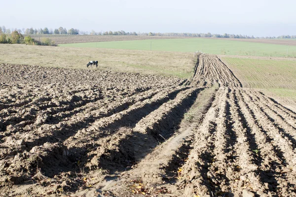 Çiftçi alanlar işlenir