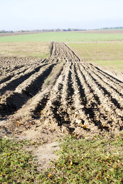 Farmer fields are processed — Stock Photo, Image