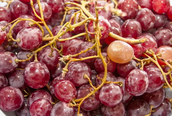 Fresh largest grapes — Stock Photo, Image