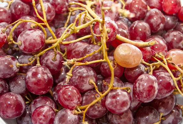 Uvas frescas más grandes — Foto de Stock