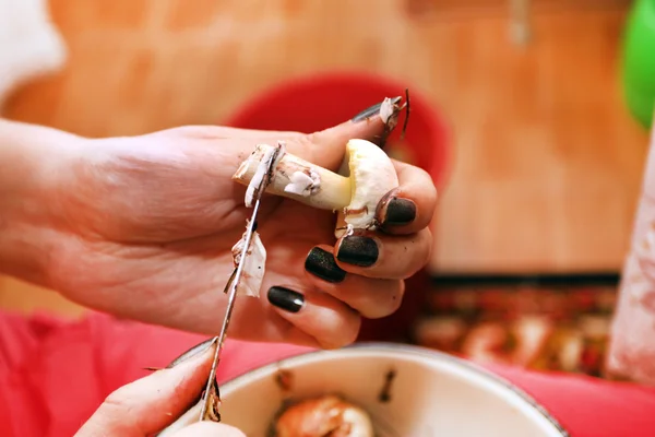 Process preparation of mushrooms — Stock Photo, Image