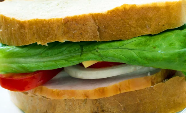Sulu lezzetli sandviç — Stok fotoğraf