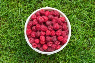 bir demet kırmızı, taze berry ahududu