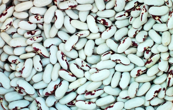 Texture - a large number of ripe, white beans — Stock Photo, Image