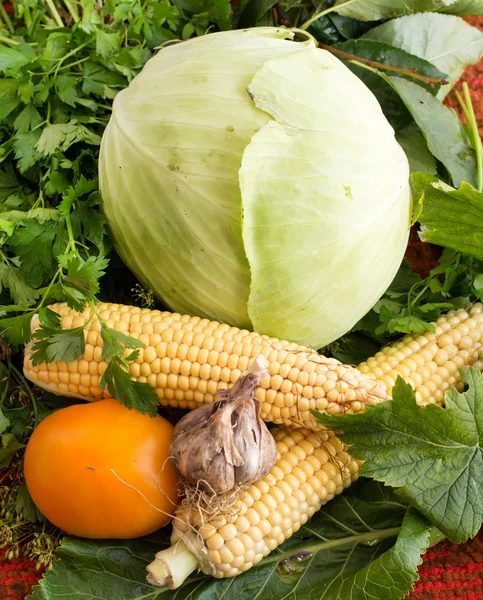 Frisches Gemüse - Knoblauch, Mais, Kohl, Tomaten von der Garde — Stockfoto