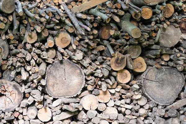 Odunlar Dikey Olarak Istiflenmiş Farklı Ağaç Türlerinin Yakacak Odunlarını Oluşturuyor — Stok fotoğraf