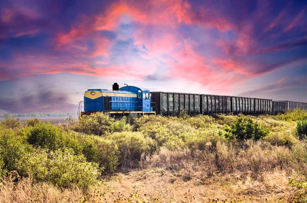 Locomotiva Diesel Com Vagões Carga Fundo Campo Com Gramado Verde — Fotografia de Stock