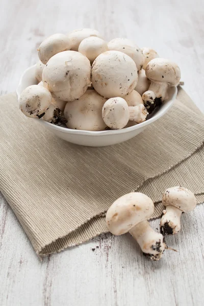 Mushroom — Stock Image Mushroom Stock Photo