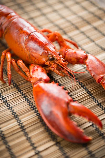 Lobster — Stock Photo, Image