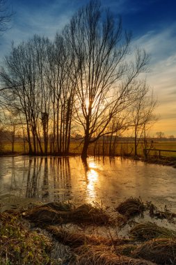 Sunset bulvarında göl