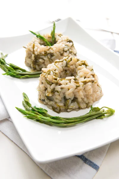 Risotto with hops — Stock Photo, Image