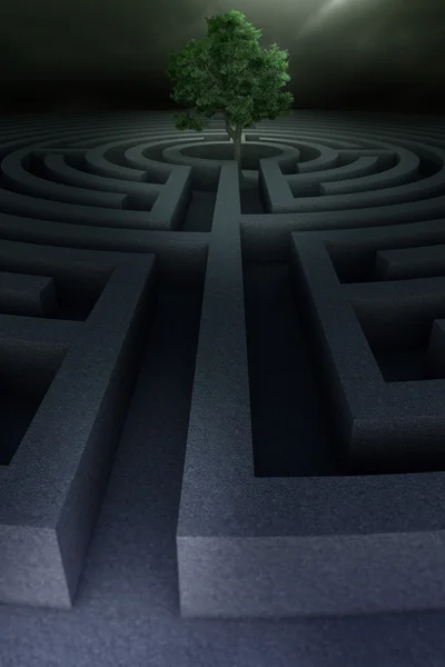Arbre dans le labyrinthe — Photo