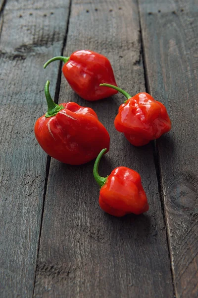 Red Chili pepper Habanero — Stock Photo, Image