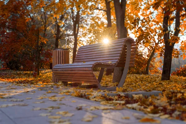 俄罗斯莫斯科秋季公园的空长椅 — 图库照片