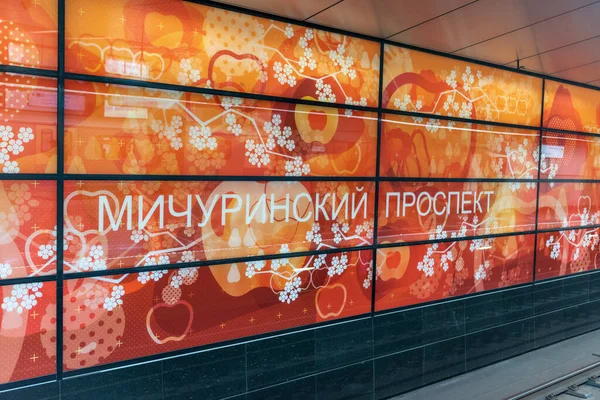 Moscú Rusia Octubre 2021 Entrada Interior Estación Michurinsky Prospekt Metro — Foto de Stock