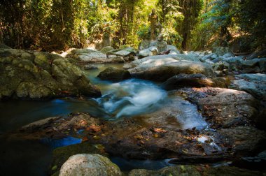Tayland, Koh Samui. Sihirli Buda bahçesinde bir şelale