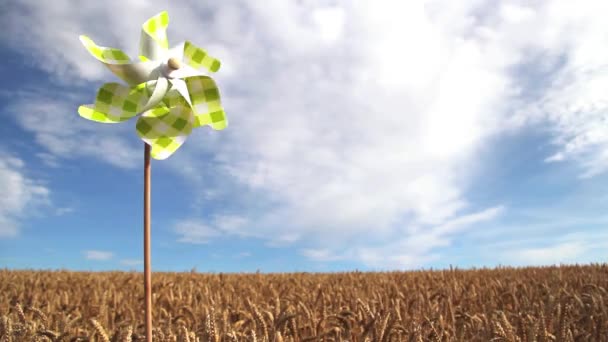 Toy pinwheel in golden wheat field — Stock Video