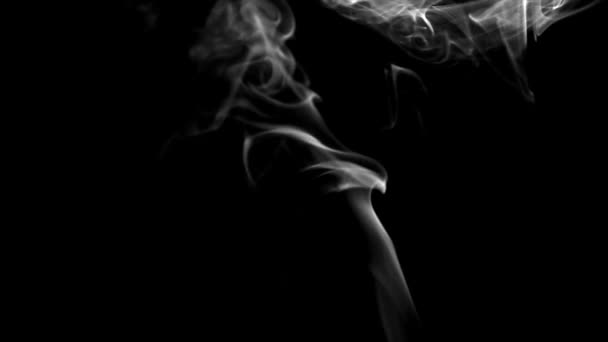 Certains sur fond noir 