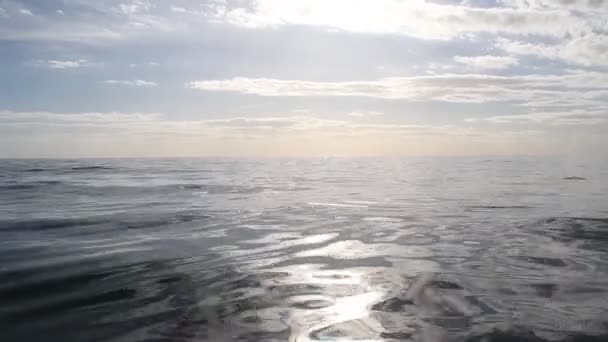 Pohled na vodu na pláži — Stock video