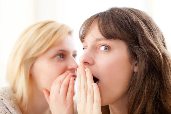 Ragazza bionda raccontando un segreto al suo migliore amico — Foto Stock