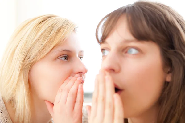 Ragazza bionda raccontando un segreto al suo migliore amico — Foto Stock